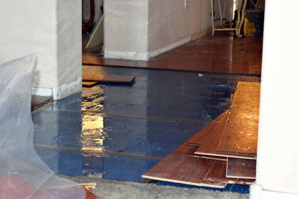 Professional Water Damage Restoration technician working in Deer Harbor, WA